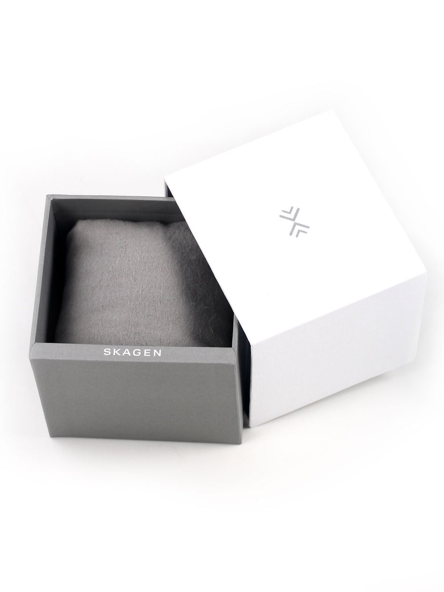 Skagen skw6330 hotsell