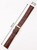 Perigaum leather strap 20 x 185 mm brown golden buckle