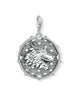 Thomas Sabo Charm 1699-637-21 Dragon and Tiger