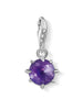 Thomas Sabo Charm 1792-169-13 birthstone February