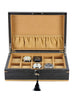 Rothschild watch box [10] Ginko RS-2320-10G